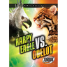 Harpy Eagle vs. Ocelot