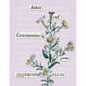 Aster of Ceremonies: Poems