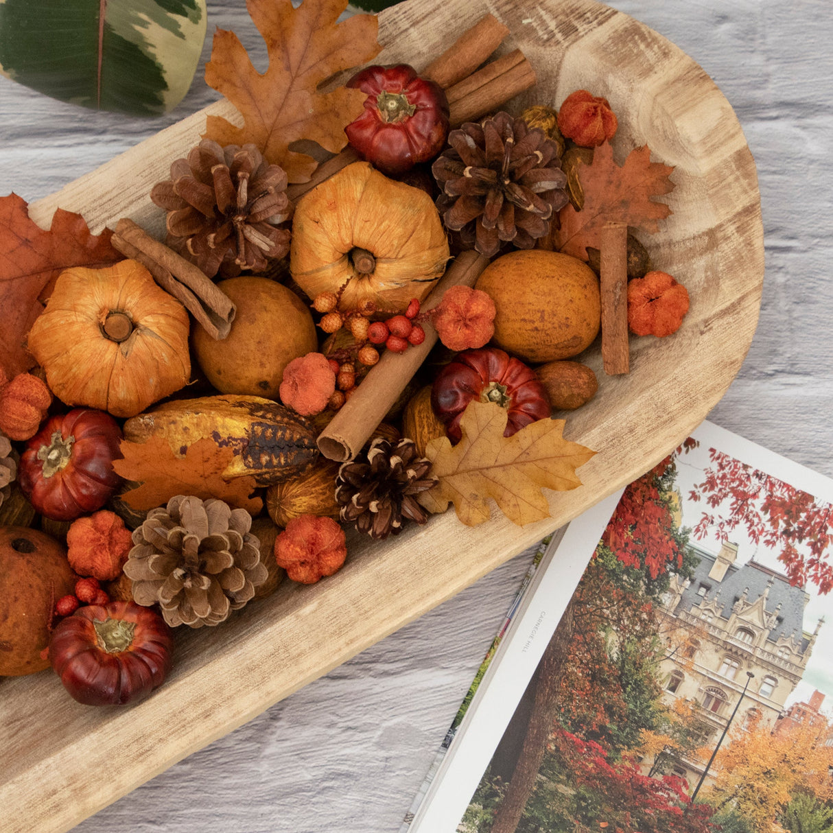 Pumpkin Patch Potpourri by Andaluca Home