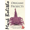 Origami Projects: A collection of original origami designs