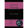 Process Theology: Embracing Adventure with God