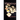 Witchstones