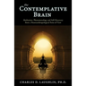 The Contemplative Brain: Meditation, Phenomenology and Self-Discovery from a Neuroanthropological Point of View