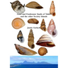 Land and Freshwater Snails of Tahiti and the other Society Islands