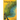 Ecological Memory