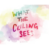 What the Ceiling Sees