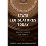 State Legislatures Today: Politics under the Domes