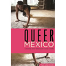 Queer Mexico: Cinema and Television Since 2000