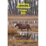 Identifying Chincoteague Ponies 2020