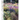 Planting: A New Perspective