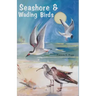 Seashore and Wading Birds of Florida