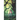 Rootbound