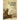 Roger Connor: Home Run King of 19th Century Baseball