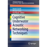 Cognitive Underwater Acoustic Networking Techniques