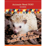 Caring for Small Animals (Animals Need YOU!)