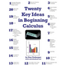 Twenty Key Ideas in Beginning Calculus