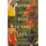 Arrow of the Blue-Skinned God: Retracing the Ramayana Through India
