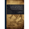 Fossil Vertebrates From the Alachua Clays of Florida