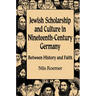 Jewish Scholarship and Culture in Nineteenth-Century Germany: Between History and Faith