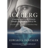 Iceberg