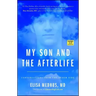 My Son and the Afterlife: Conversations from the Other Side