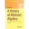 A History of Abstract Algebra: From Algebraic Equations to Modern Algebra