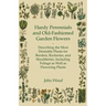 Hardy Perennials and Old-Fashioned Garden Flowers;Describing the Most Desirable Plants for Borders, Rockeries, and Shrubberies, Including Foliage as W