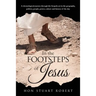 In the Footsteps of Jesus: A chronological journey through the gospels set in the geography, politics, people, power, culture and history of the day
