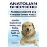 Anatolian Shepherd. Anatolian Shepherd Dog Complete Owners Manual. Anatolian Shepherd book for care, costs, feeding, grooming, health and training.