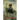 Inspector of the Dead