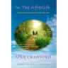 In The Afterlife: A Chronicle Of Our Experiences On The "Other Side" Direct Personal Life After Death Accounts By Individuals On The "Ot