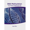 DNA Methylation: Current Research