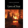 Laws of Fear: Beyond the Precautionary Principle