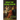 What The Living Know: A Novel of Suicide and Philosophy