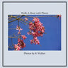 Walk-A-Bout with Plants