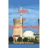 Safety in Nuclear Power Plants