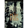 The Play of the Eyes