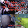 The Adventures Of Murray The Misunderstood Moray Eel: Welcome To My World