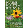Prairie Plants of Illinois: A Field Guide to the Wildflowers and Prairie Grasses of Illinois and the Midwest