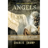 Angels Workbook: A Biblical School of Living Light