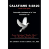 Galatians 5: 22-23 Fruit of the Spirit: Noticeable Attributes of a True Christian Life
