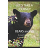 Let's Take A Journey: Bears and ME