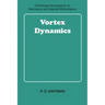 Vortex Dynamics