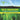 Seed vs. Non Seed Plants: A Lesson on Plant Life Cycles Life Science Biology 5th Grade Children's Biology Books