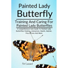 Painted Lady Butterfly: A Comprehensive Care Guide To Painted Lady Butterflies Feeding, Interaction, Health, Habitat, Pros & Cons And More