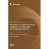 Advances in Carbon Capture, Utilization and Storage Technologies (CCUS)