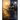 Sunlight In The Shadow's