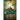 The Enlightened (Mind Dimensions Book 3)