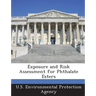 Exposure and Risk Assessment for Phthalate Esters