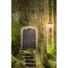 Forest Door, Discreet Internet Password Logbook, Large Print